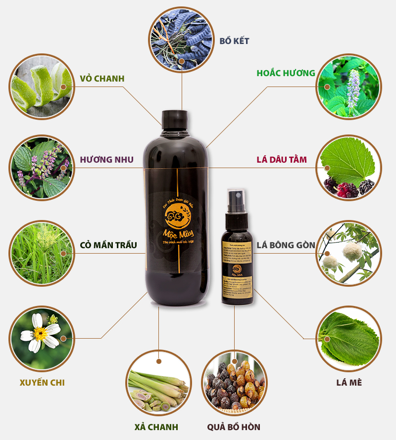 Các thành phần trong CAO THẢO DƯỢC GỘI ĐẦU MỘC MÂY